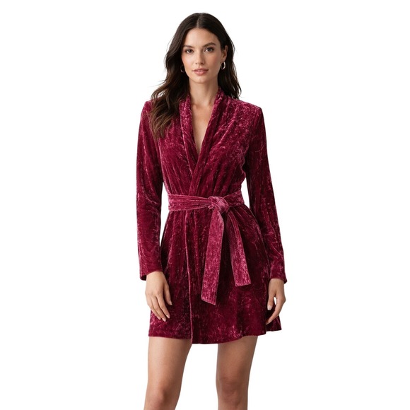 A.L.C. Kiera Crushed Velvet Mini DressPinkSize 0XS